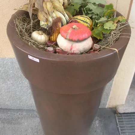 Lucas Haus アパート リヴィーニョ